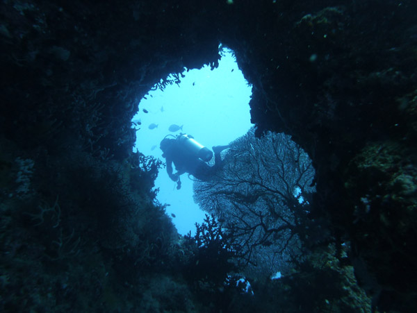 FijiDiveOct12 563.jpg