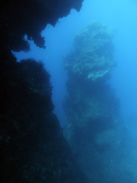 FijiDiveOct12 580.jpg