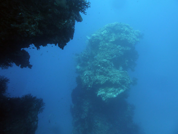 FijiDiveOct12 582.jpg