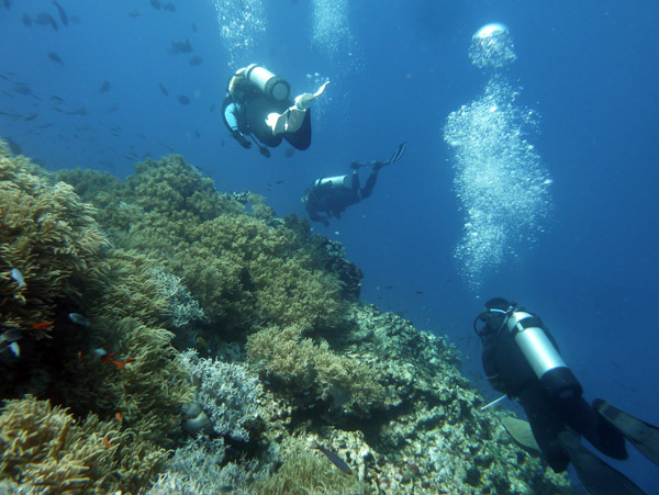 FijiDiveOct12 633.jpg