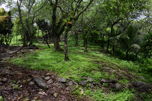 56 house mounds have been discovered at Tavuni Hill Fort