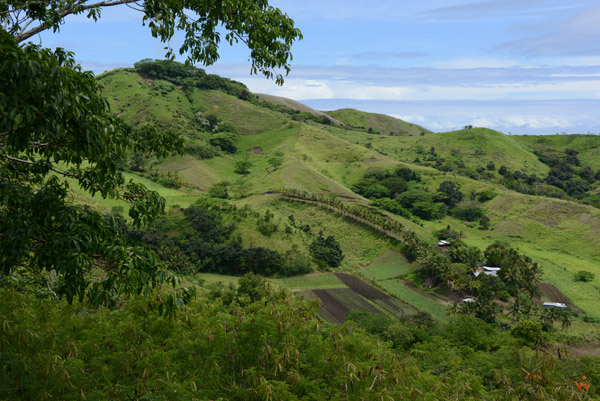 Farmland near the Tavuni Hill Fort