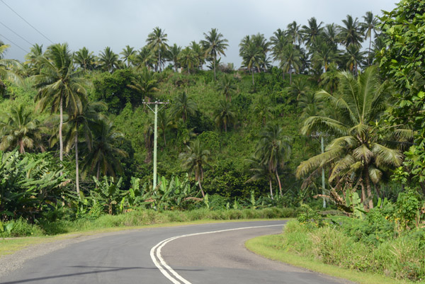 Queen's Highway - 36 km to Pacific Harbour