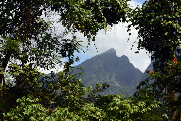 Mountain peak framed by vegetation, Viti Levu-Fiji