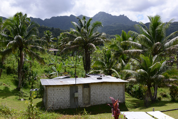 Na Bula Nakwa - Naseuvou Village, Viti Levu-Fiji