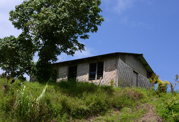 Half-traditional hut