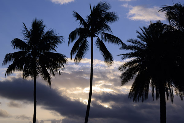 Sunset with palm trees, Holiday Inn Suva