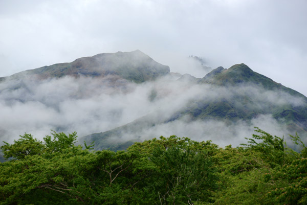 Mist covered hills of northern Viti Levu-Fiji