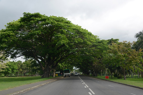 Detour off Kings Road through the parkland of southern Lautoka