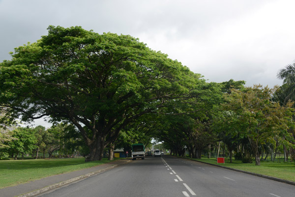 Detour off Kings Road through the parkland of southern Lautoka