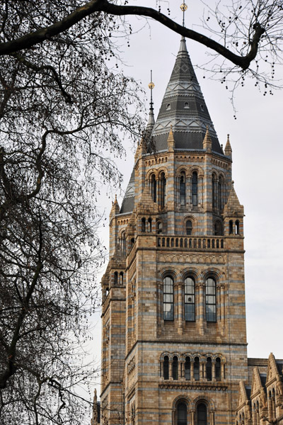 Towers of the Natural History Museum 