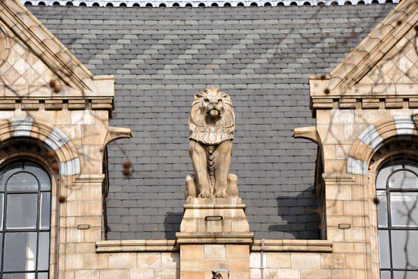Lion on top of the Natural History Museum 