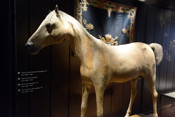 Vizir, Napoleon's gray Arabian stallion (since restored)