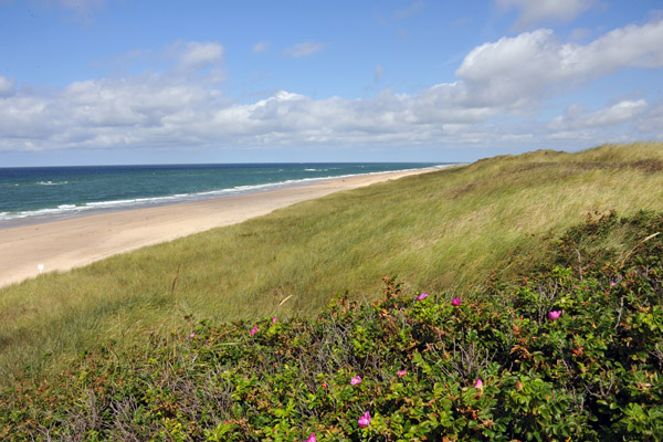 Beach from the dunes south of Rantum, Sylt