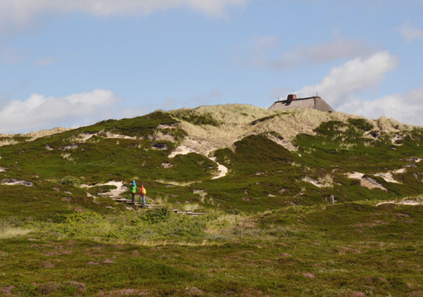 Dunes, Rantum, Sylt