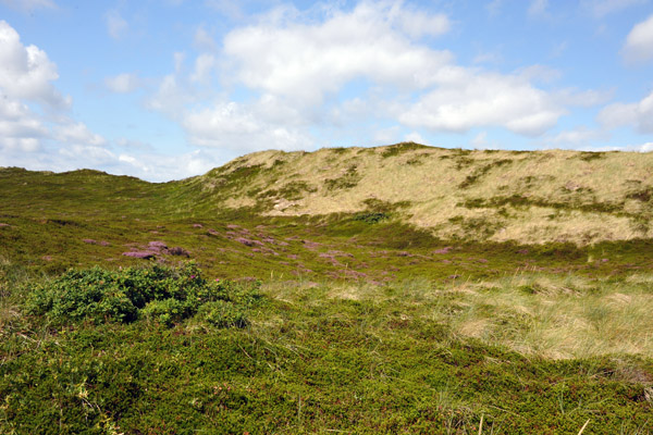 Dunes, Rantum, Sylt