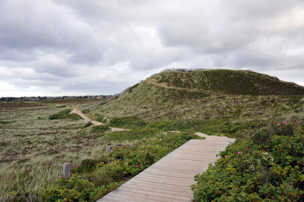 Boardwalk along the dunes above the Red Cliff, Kampen