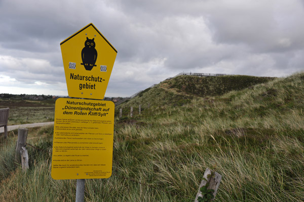 Naturschutzgebiet Dünenlandschaft auf dem Roten Kliff, Sylt