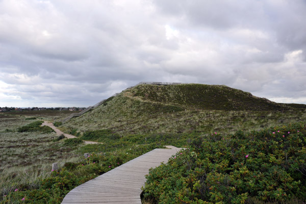 Boardwalk along the dunes above the Red Cliff, Kampen