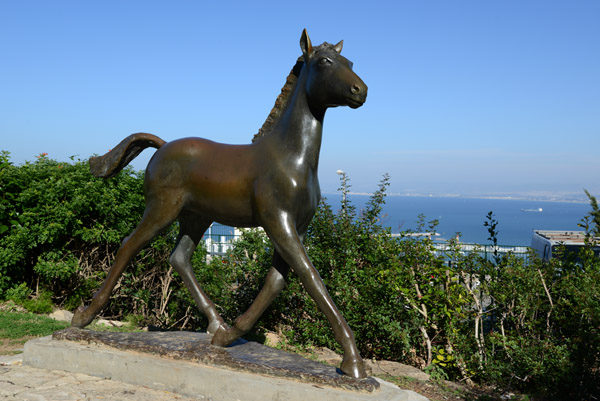 IsraelNov12 0880.jpg
