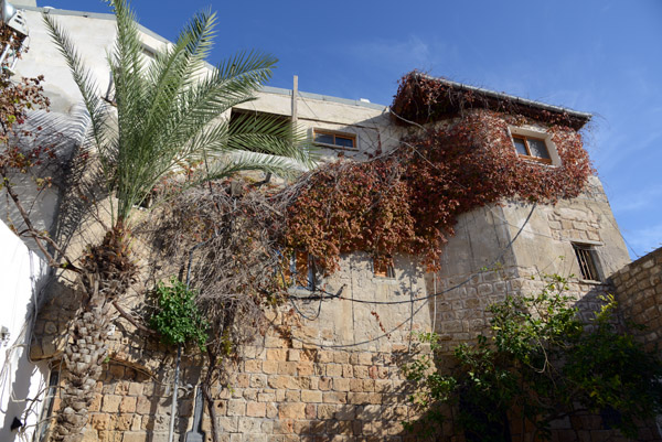 IsraelNov12 0404.jpg