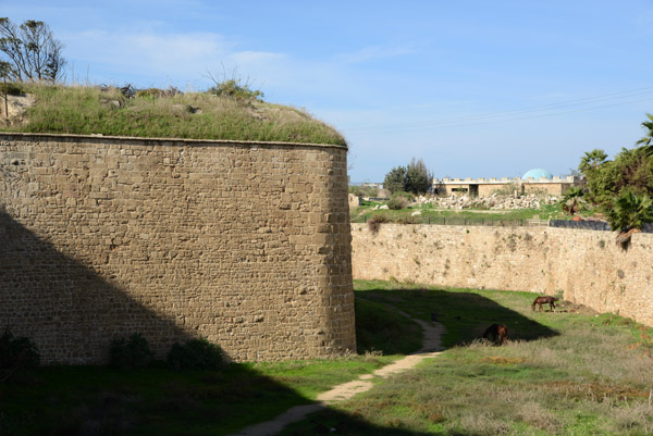 IsraelNov12 0096.jpg
