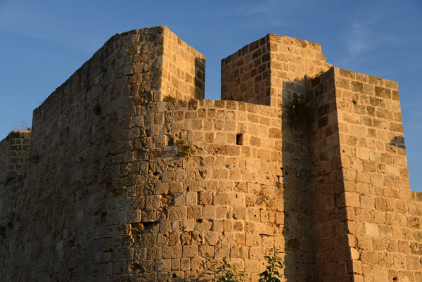 IsraelNov12 0575.jpg