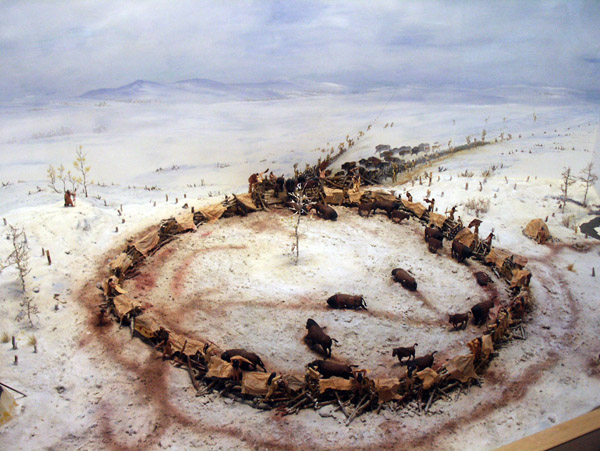 Native Buffalo Hunt using a corral