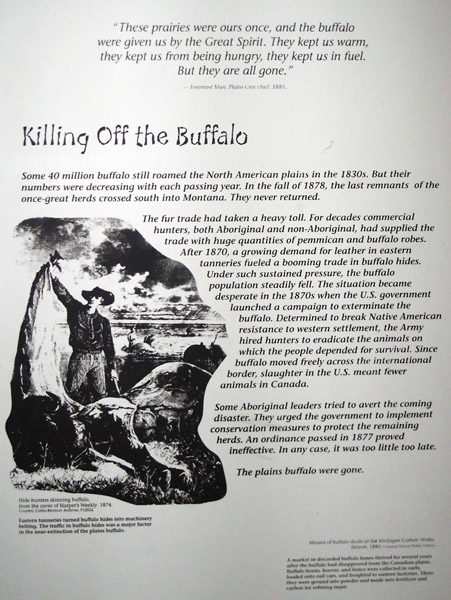 Killing Off the Buffalo by the US Government