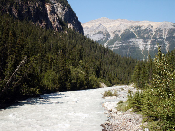 Yoho River at the Meeting of Waters Confluence, British Columbia