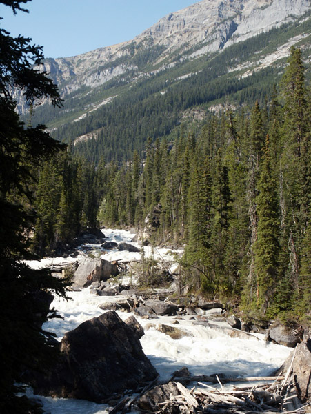 Kicking Horse River, BC