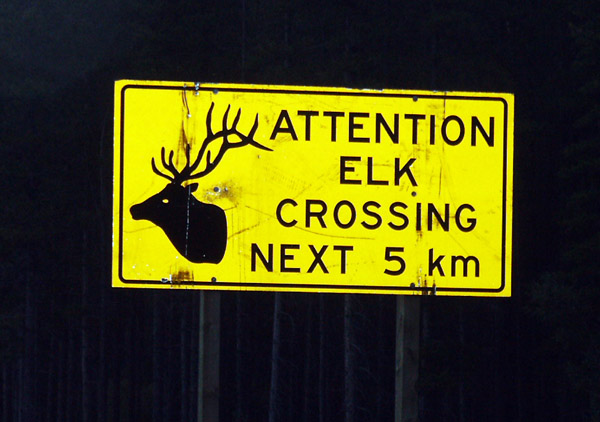 Attention Elk Crossing Next 5 km