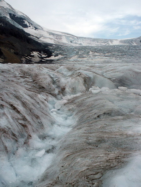 Athabaska Glacier, Jasper National Park