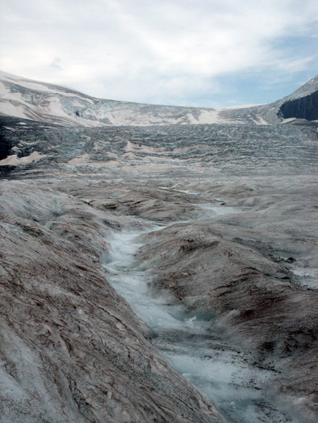 Athabaska Glacier