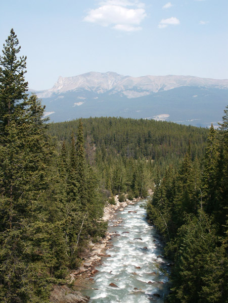 Athabaska River, Jasper National Park
