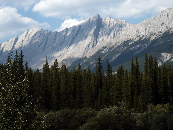 Jasper National Park