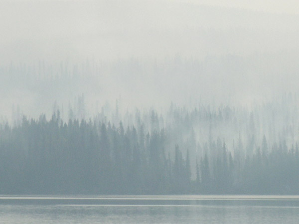 Forest Fire, Jasper National Park