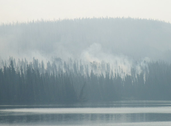 Forest Fire, Jasper National Park