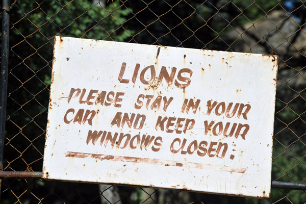 Lions: Please Stay In Your Car - they should add that an tourist was killed by lions here 2005 