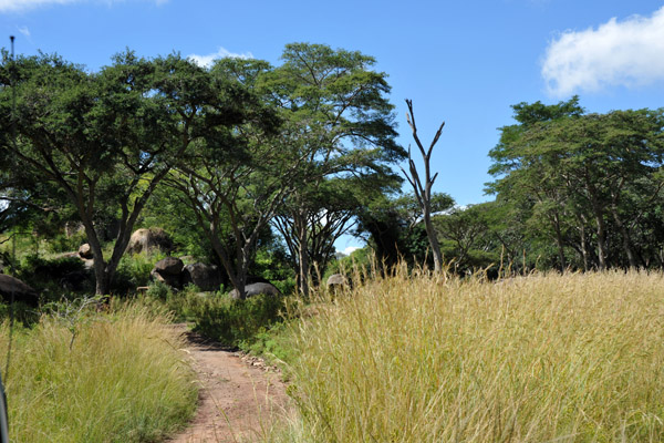 Lion Park Safari Drive