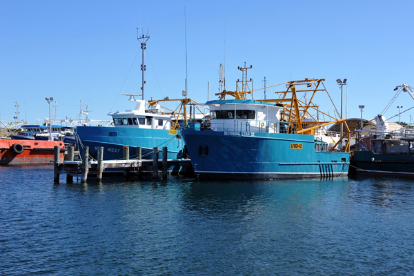 Fishing Boat Harbour - Morning Star IV