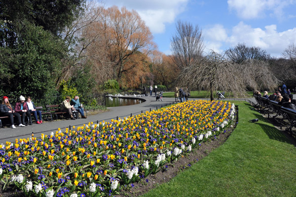 Tulips in April, Saint Stephen's Green Park, Dublin