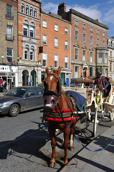 Horse and Carriage, Saint Stephen's Green