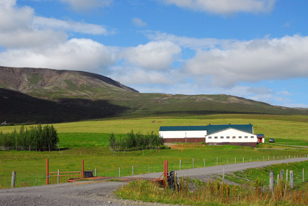 Farmland along Highway 37 between Laugarvatn and Geysir