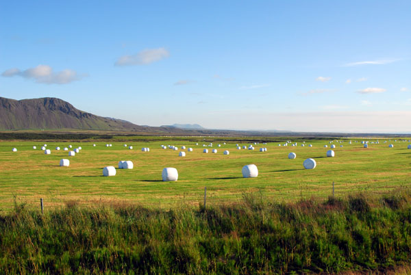 Marshmallow Farm, Iceland