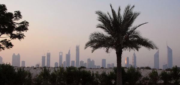 Sheikh Zayed Road at dusk with a palm tree silhouette