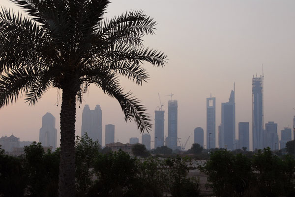 Sheikh Zayed Road at dusk with a palm tree silhouette