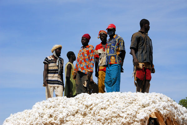Men stomping down cotton on a truck, Mali