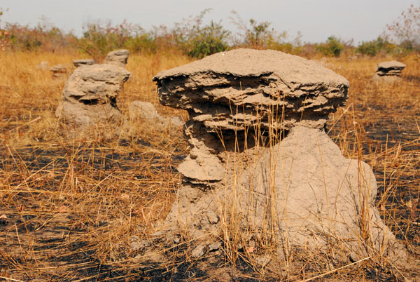 Mushroom shaped Termite Mound between Bamako and Ségou