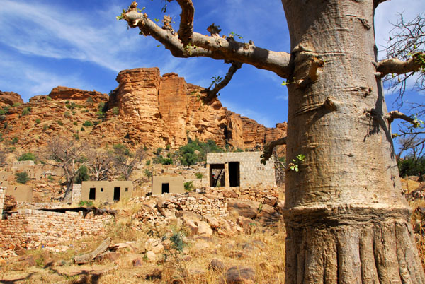 Baobab with the cliffs above Tireli